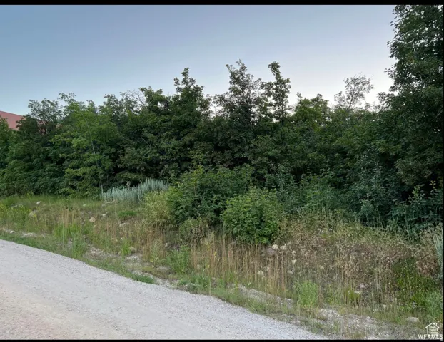 Sloping terrain with natural vegetation including mature trees and various shrubs