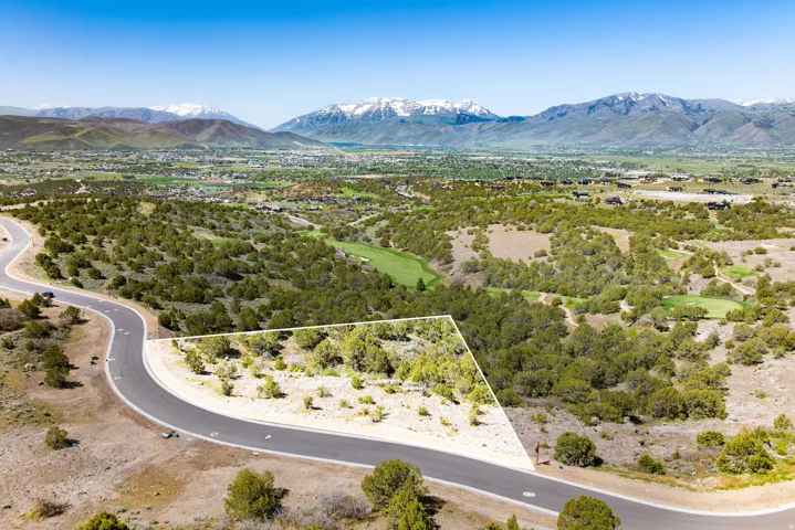 Aerial perspective of a vacant lot outlined in white, featuring natural vegetation and a paved road frontage