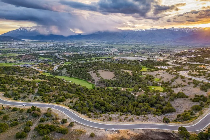 Sweeping aerial perspective highlighting a winding paved road amidst extensive natural landscaping and mature trees
