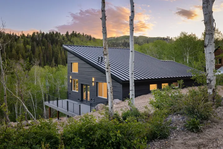 Contemporary exterior with dark horizontal siding, a distinctive sloped metal roof, and an expansive outdoor deck with black metal railings