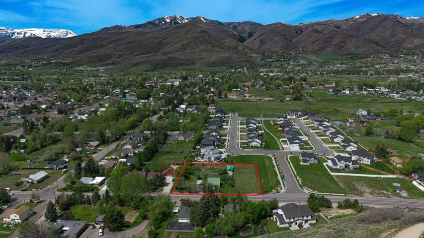 Expansive land parcel outlined in red, featuring mature trees and a flat topography