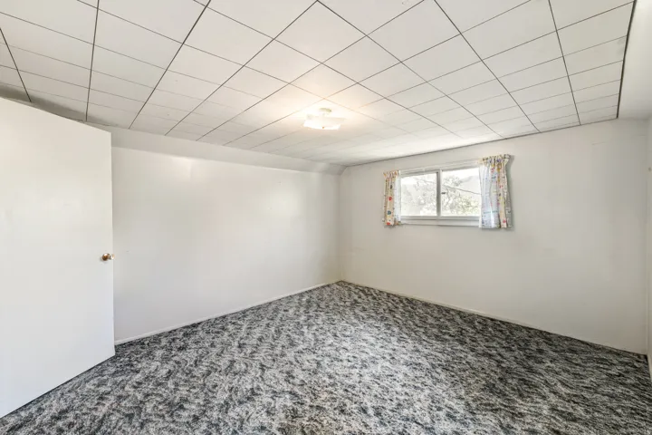 Carpeted room with white walls, a single window, and a ceiling light fixture