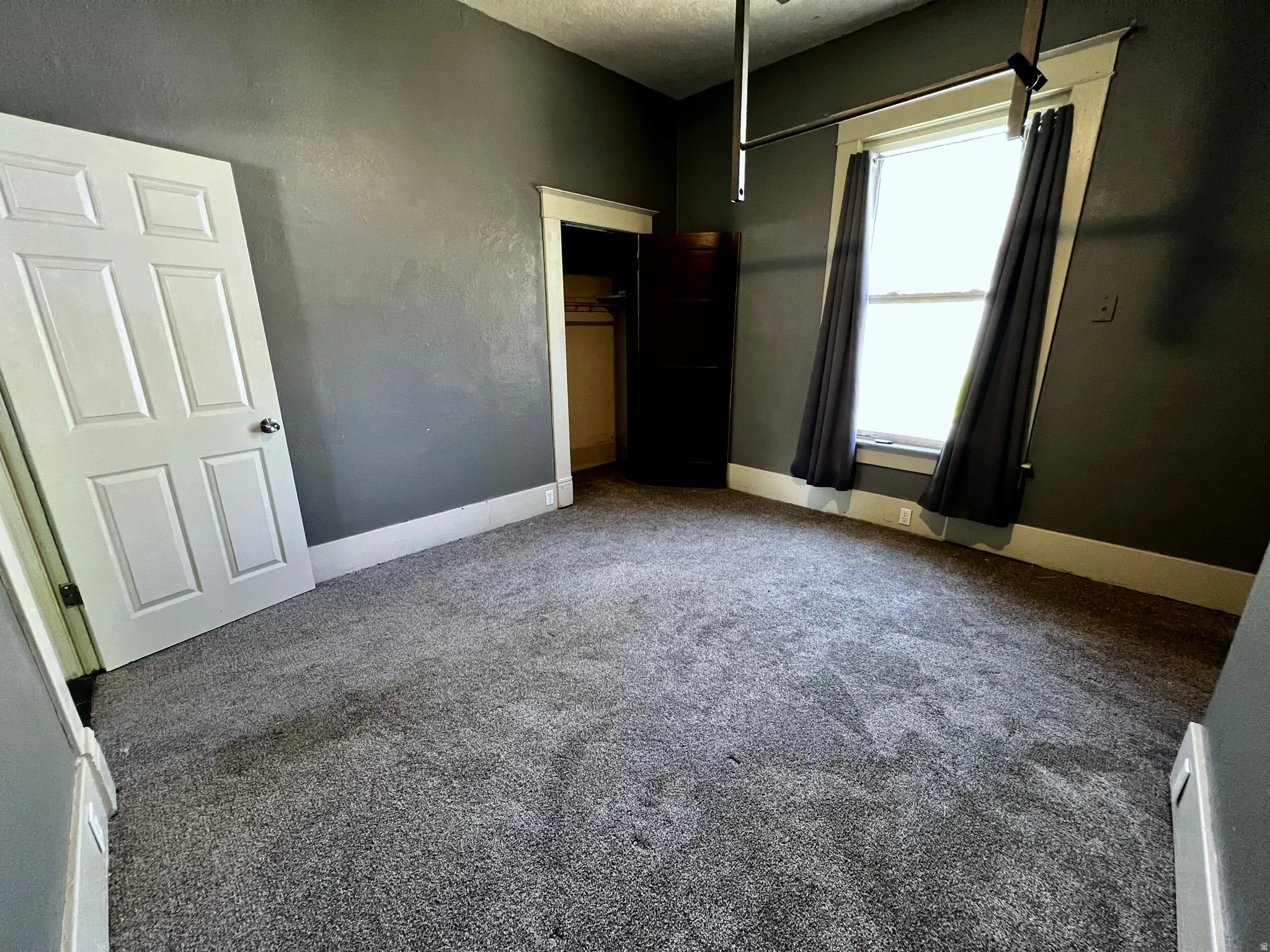 Carpeted room featuring a white paneled door, dark gray walls, and white baseboards