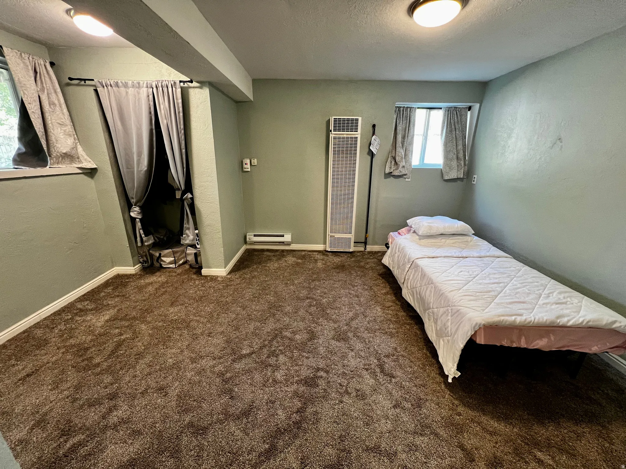 Carpeted room featuring a wall-mounted heater, two windows, and overhead lighting