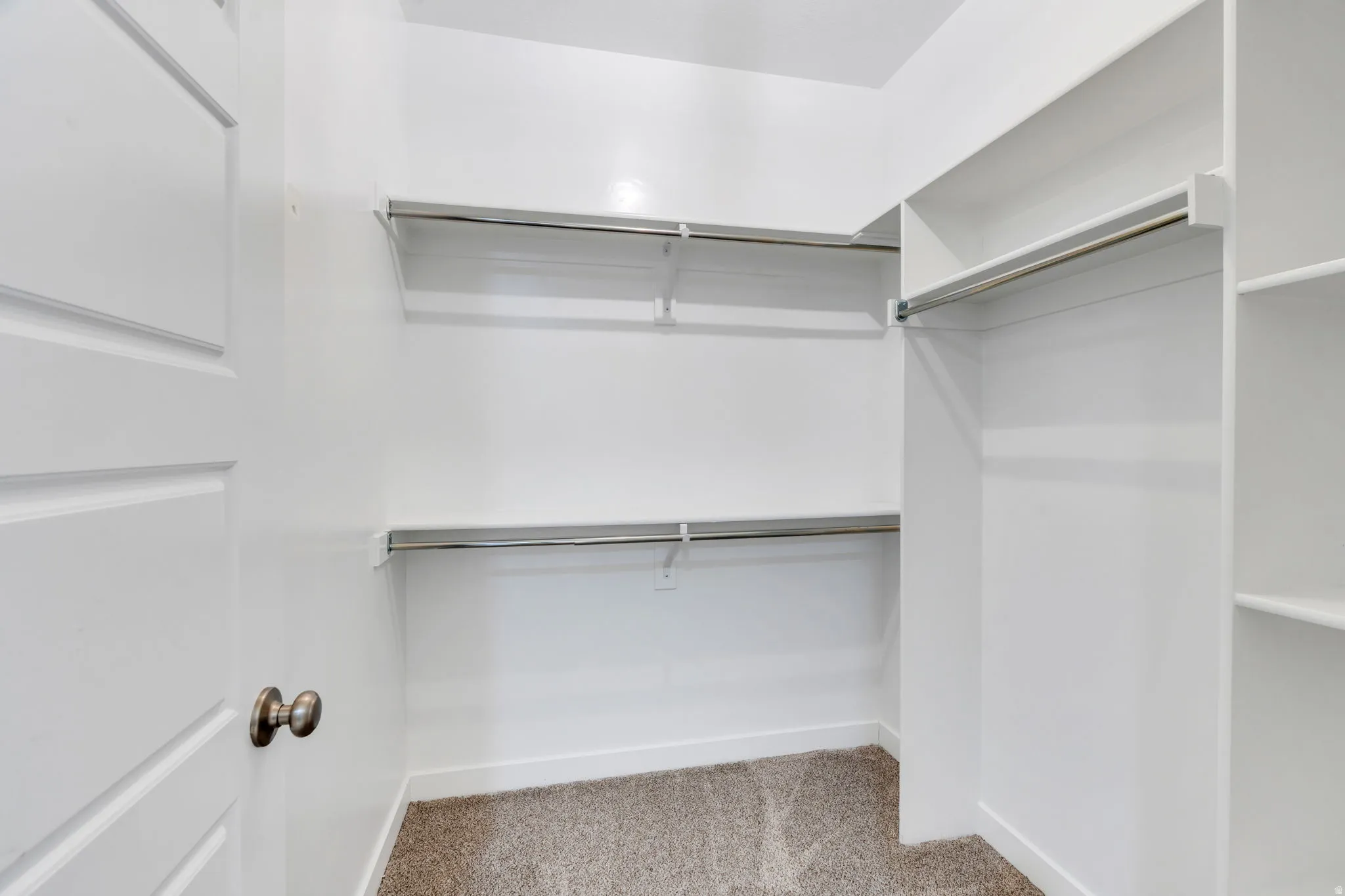 Walk-in closet featuring white shelving, multiple hanging rods, built-in vertical shelving, and carpeting
