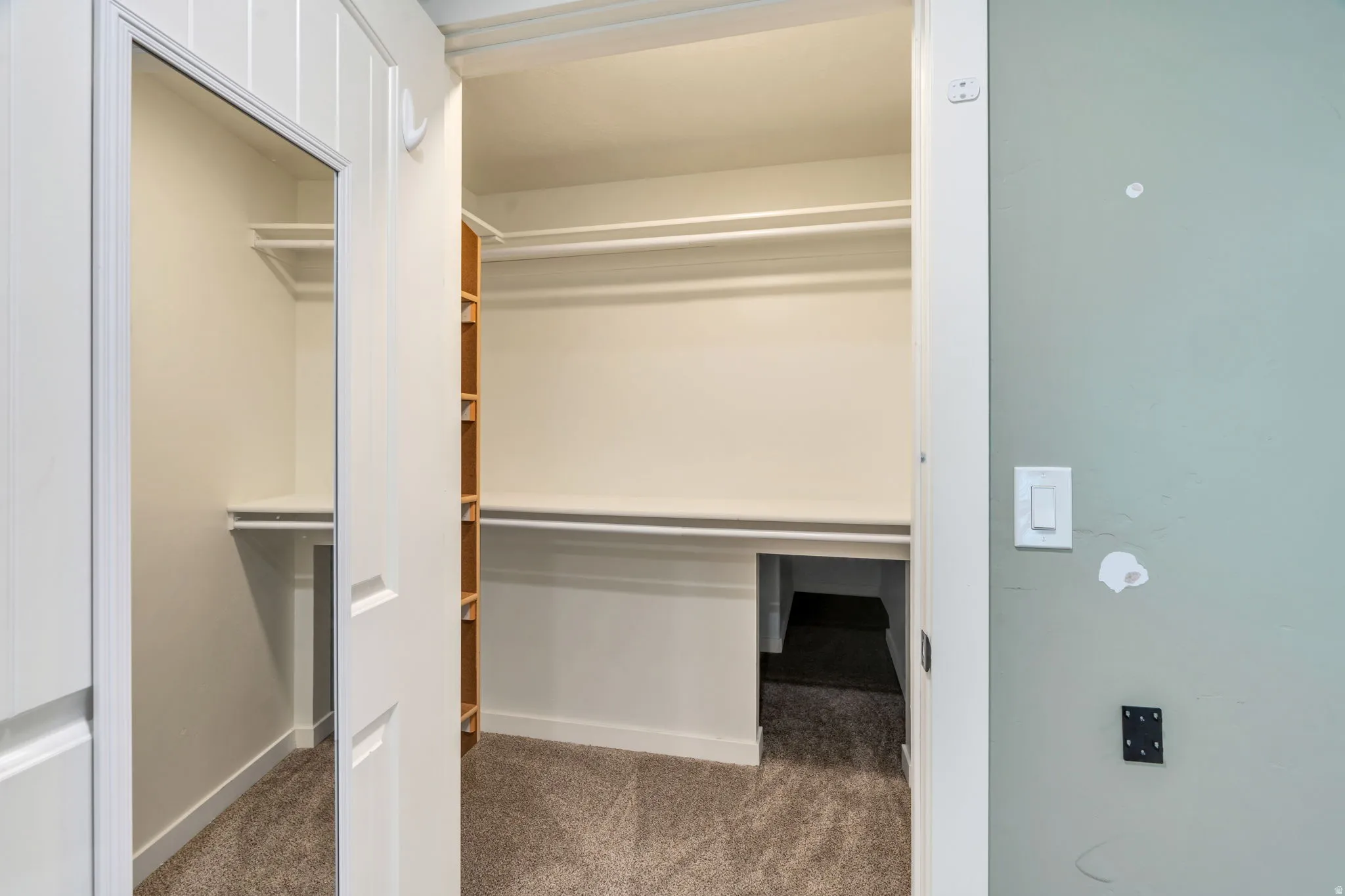 Walk-in closet featuring carpet flooring, built-in shelving, and hanging rods