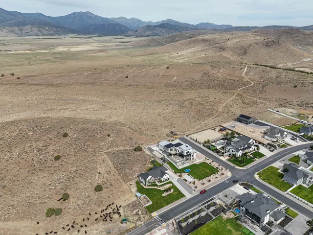 Aerial depiction of a residential neighborhood with mountain views