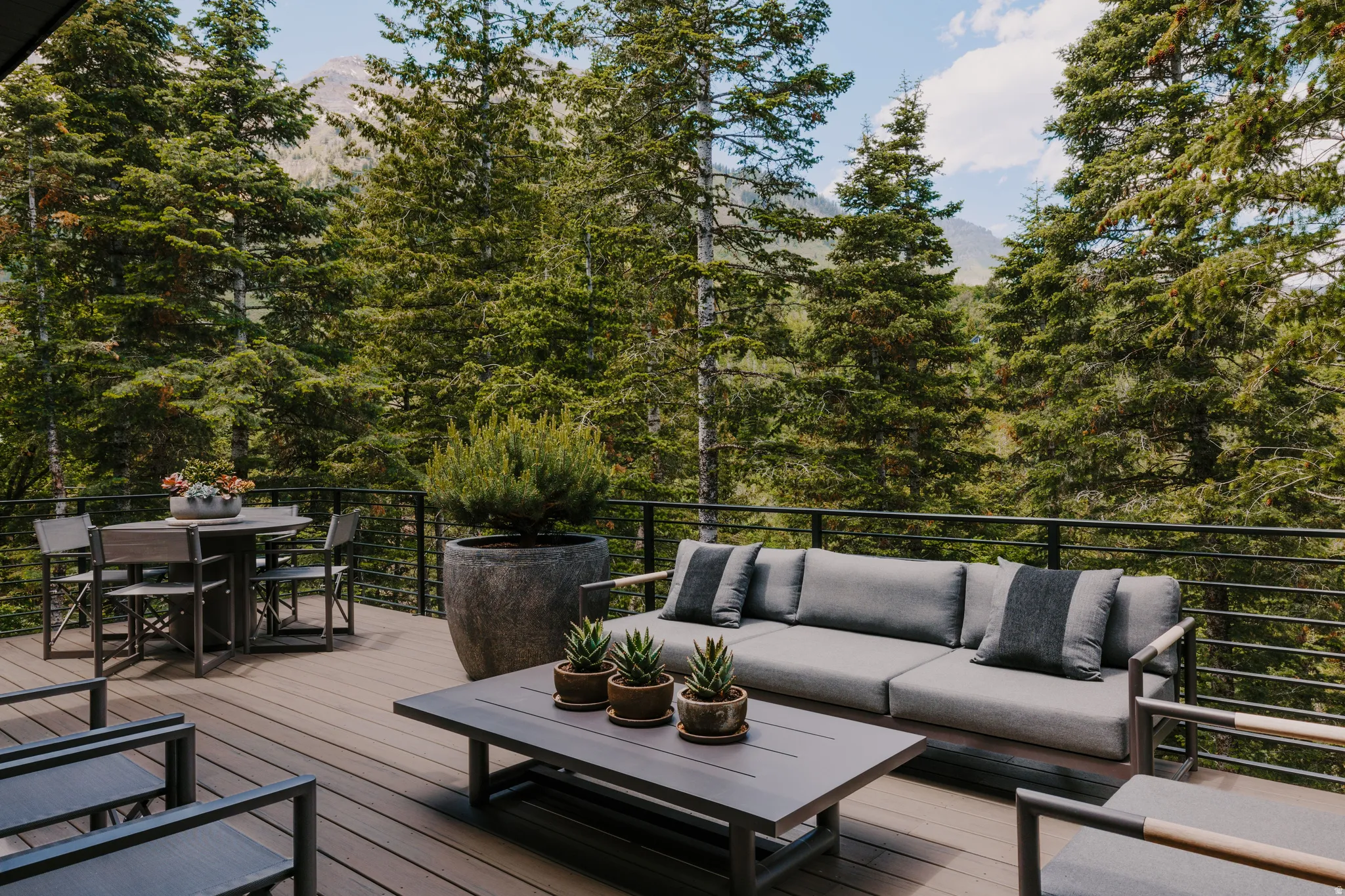 Expansive outdoor deck featuring wood-finish flooring, black metal railings, and mature evergreen trees