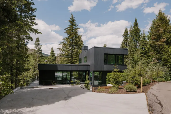 Contemporary exterior architecture with dark-toned siding and multiple large windows