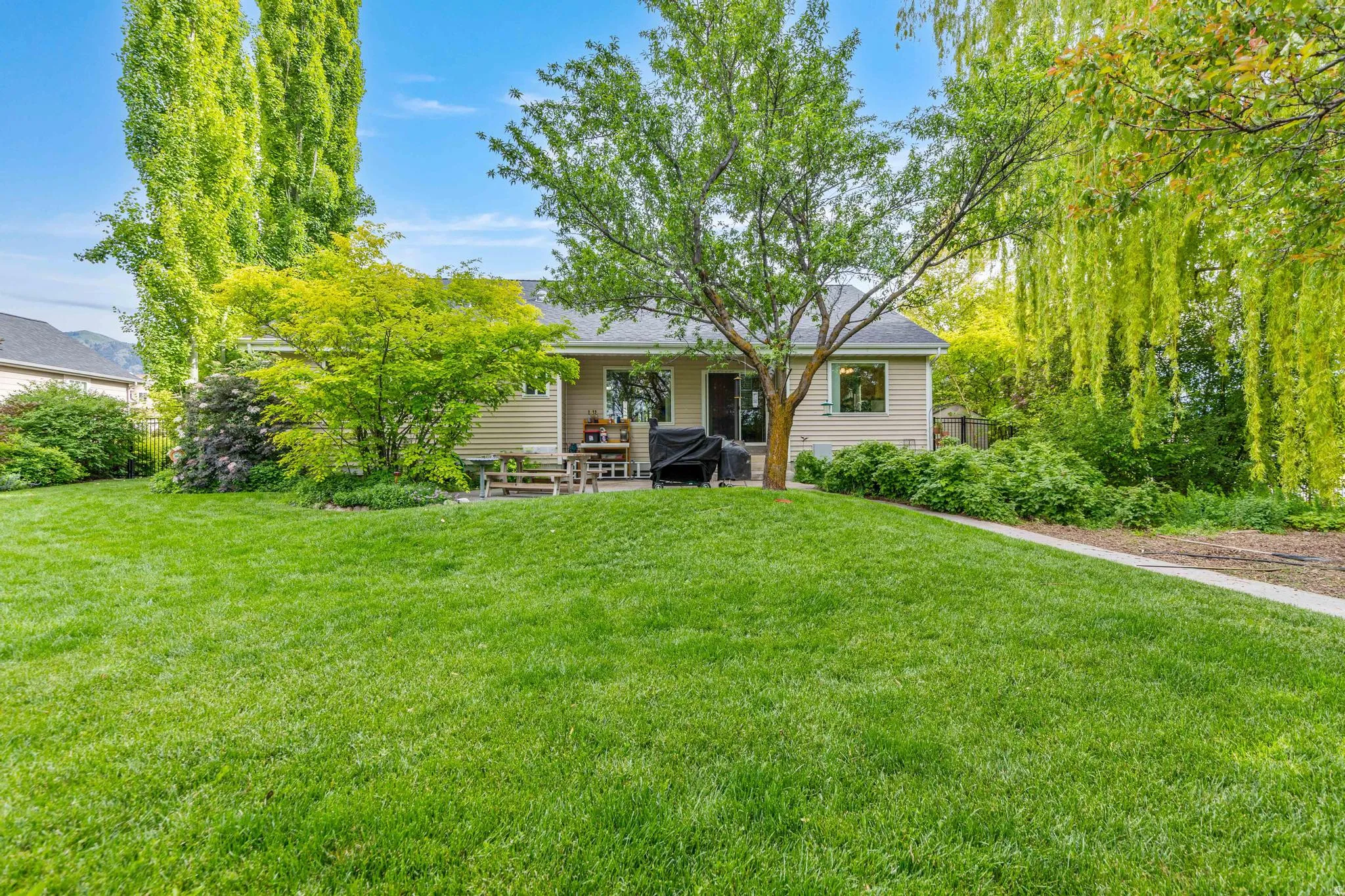 Expansive rear yard featuring a manicured lawn, established shade trees, and a concrete patio