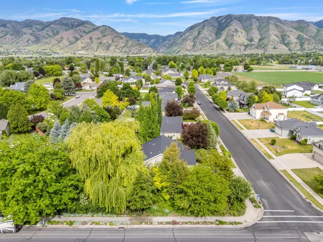 Expansive residential neighborhood with mature trees and mountain scenery