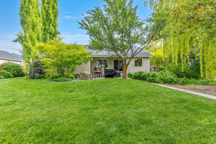 Expansive rear yard featuring a manicured lawn, established shade trees, and a concrete patio