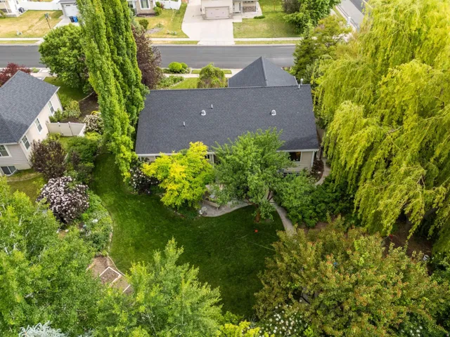 Lush landscaping featuring mature trees and established plantings