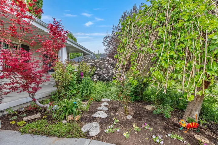 Landscaped garden bed featuring a red Japanese maple and a weeping mulberry tree
