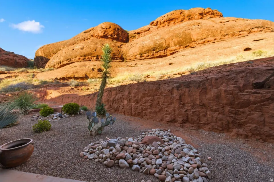 Desert landscaping featuring a gravel ground cover, various cacti, and a rock garden accent