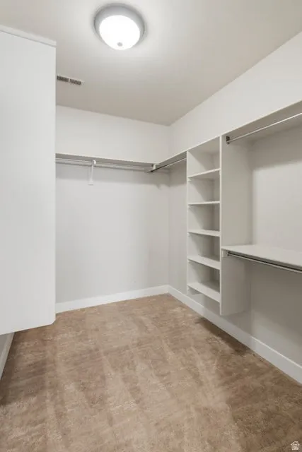 Spacious walk-in closet featuring built-in shelving, multiple hanging rods, neutral carpeting, and a flush-mount ceiling light fixture