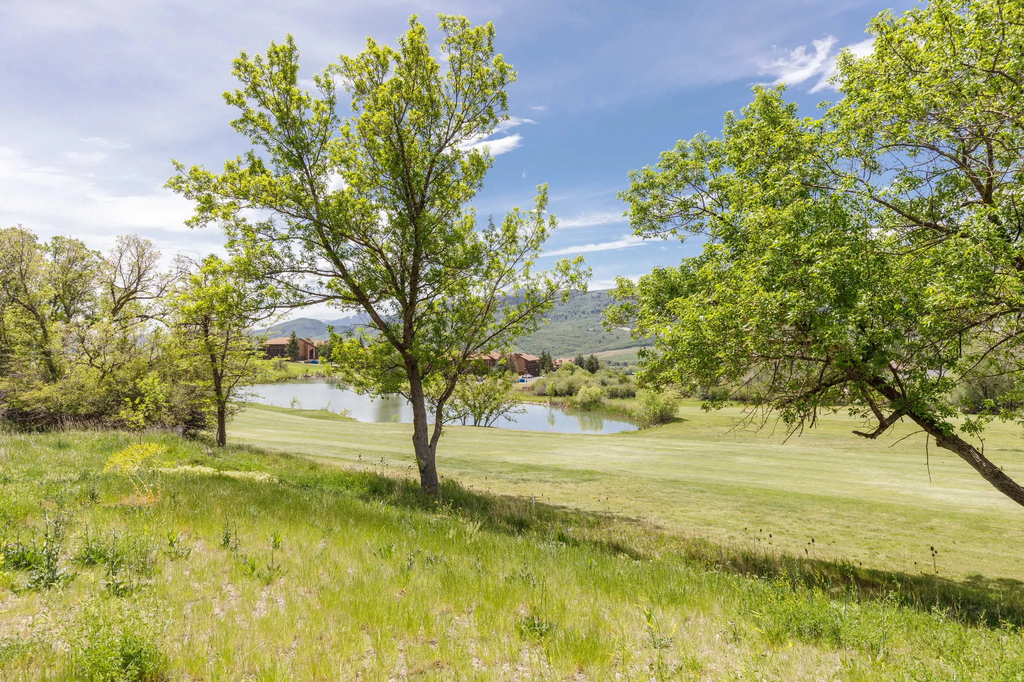 Expansive green space featuring mature trees and a tranquil pond