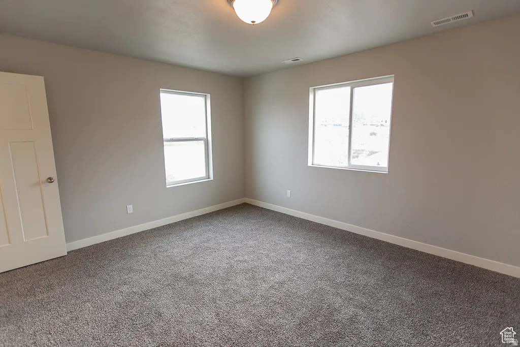 Spacious room featuring neutral paint, gray carpet, two windows, white trim, and a ceiling-mounted light fixture