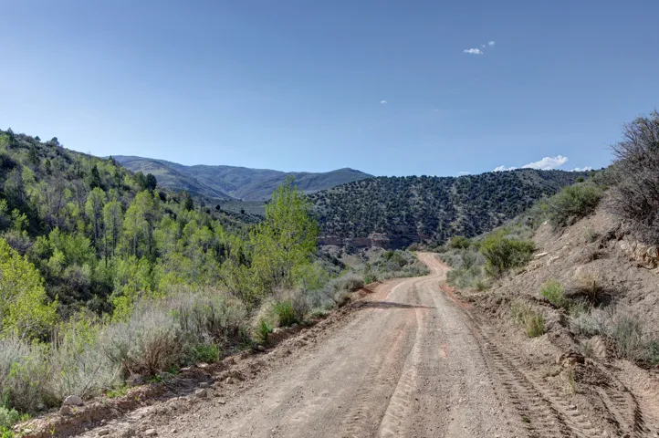 Winding dirt road ascending through a mountainous landscape with diverse tree coverage