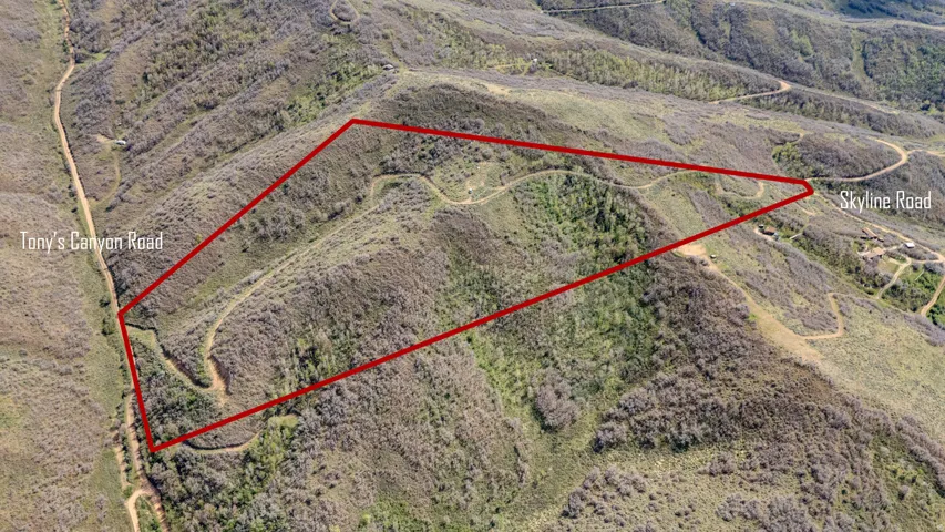Expansive land parcel featuring natural topography and abundant vegetation