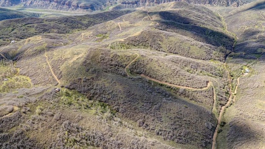 Rolling hills with established trails and varied natural vegetation
