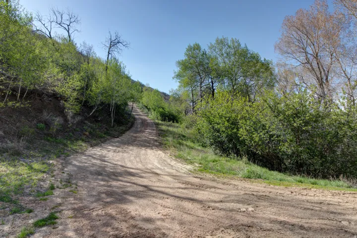 Dirt road ascending a hill, surrounded by abundant natural foliage and mature trees