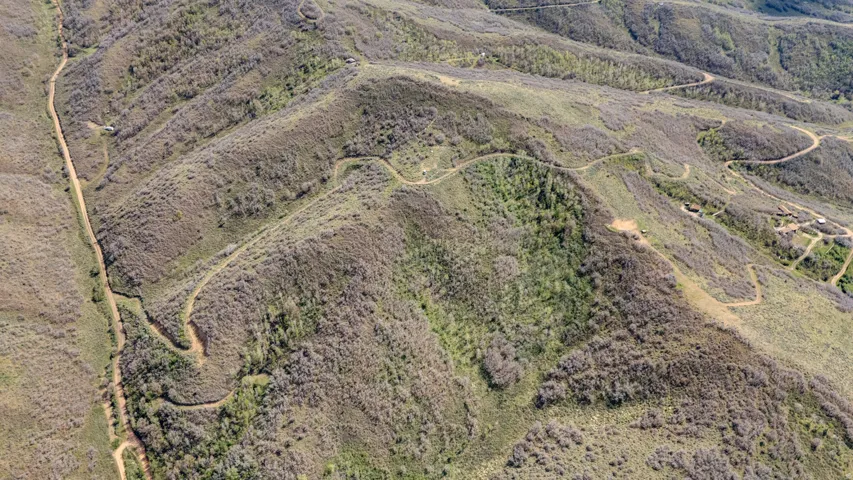 Expansive undeveloped acreage featuring varied terrain and multiple unpaved access paths