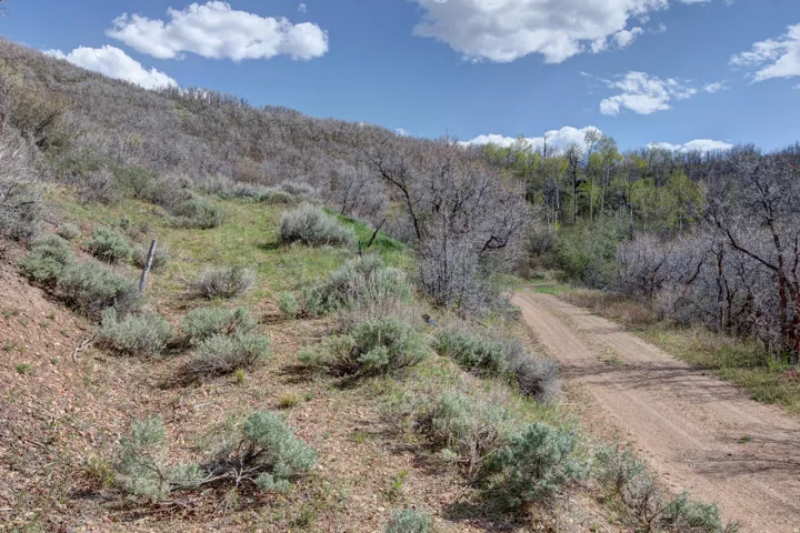 Rural dirt road winding through a natural landscape of varied terrain