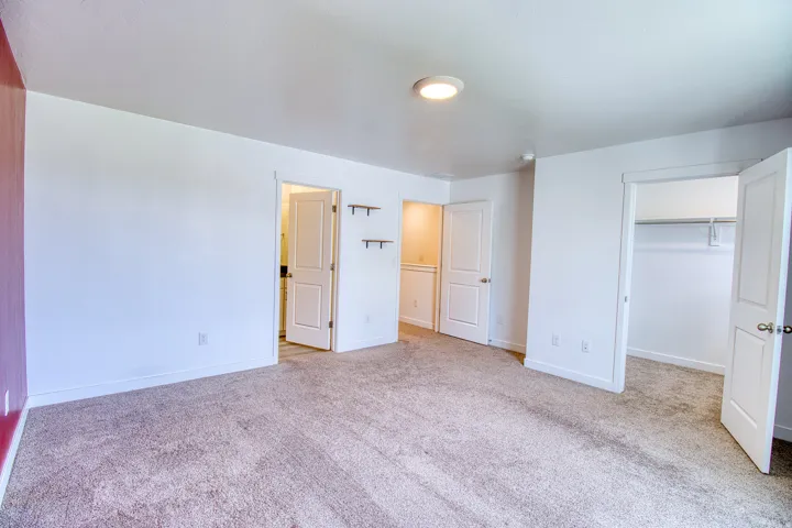 Spacious room featuring neutral carpet flooring, white walls, and a distinctive accent wall