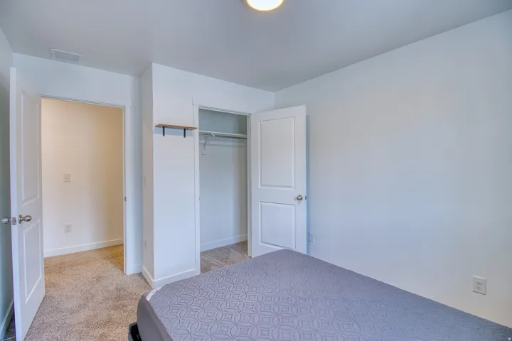 Carpeted bedroom featuring a built-in closet with hanging rod, a flush-mount ceiling light, and white paneled doors