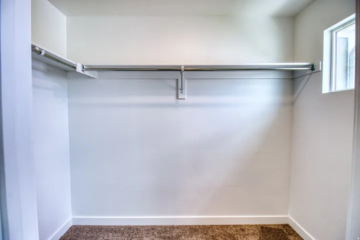 Walk-in closet featuring white painted walls, a single-pane window, and carpet flooring