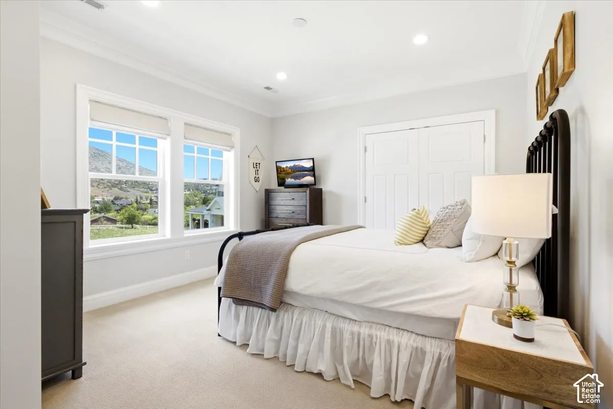 Bright bedroom featuring dual double-hung windows with roller shades
