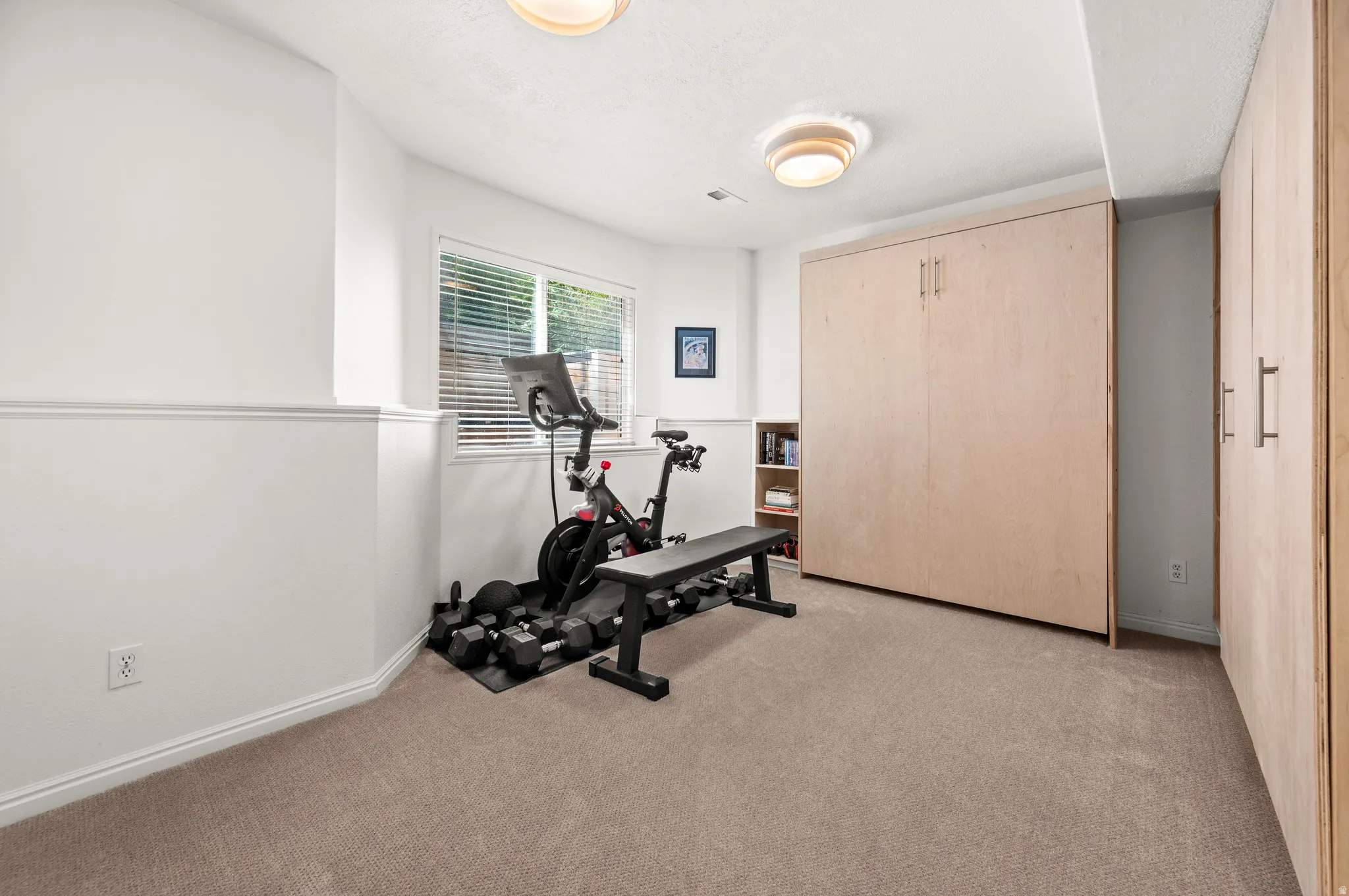 Family room/bedroom with Murphy bed, full closet, builtin storage