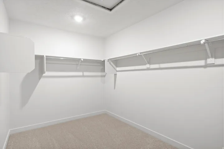 Spacious walk-in closet featuring light beige carpeting, white walls, built-in shelving, and hanging rods