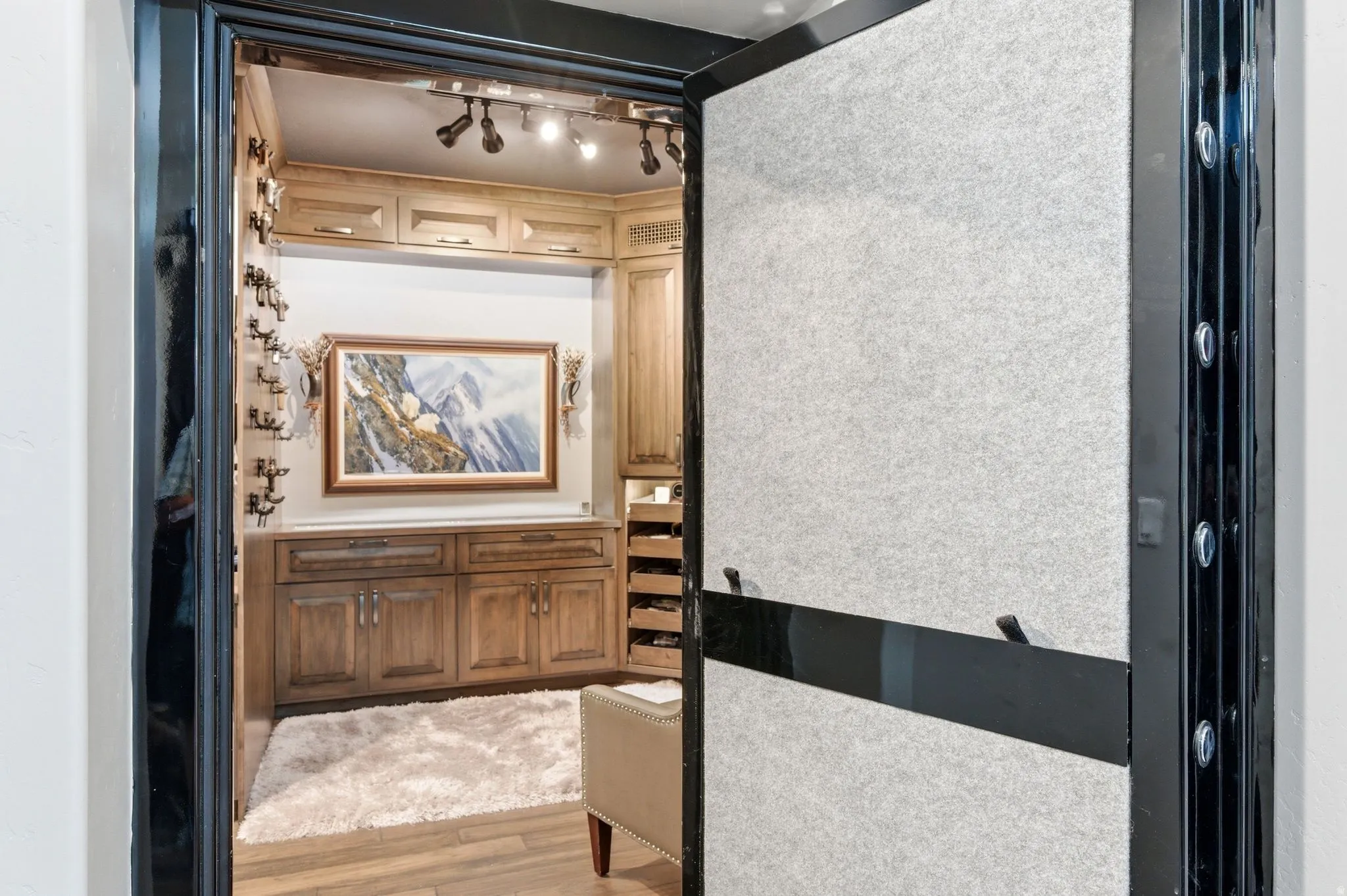Built-in cabinetry with wood-finish doors, track lighting, and a plush area rug