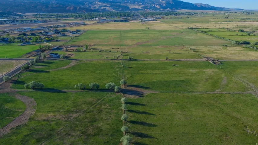 Expansive green fields with distinct property lines and scattered trees