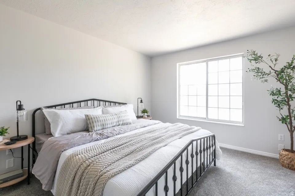 Bright room featuring light grey walls and carpeted flooring