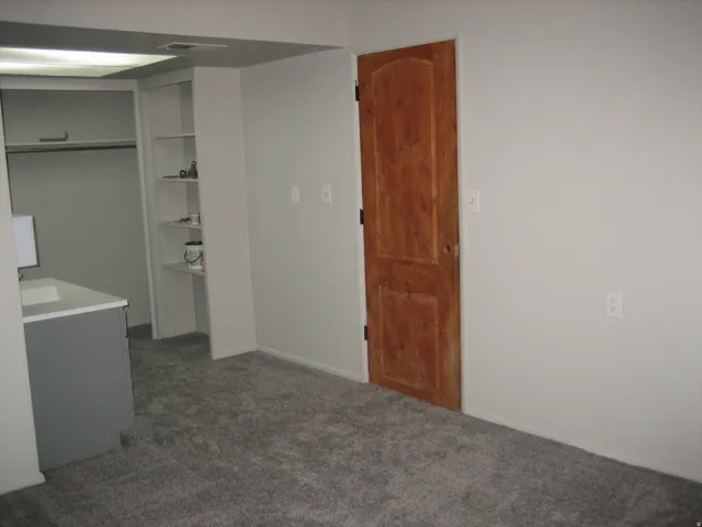 Plush gray carpeting throughout, featuring a natural wood-finish door, light gray walls, and white baseboards