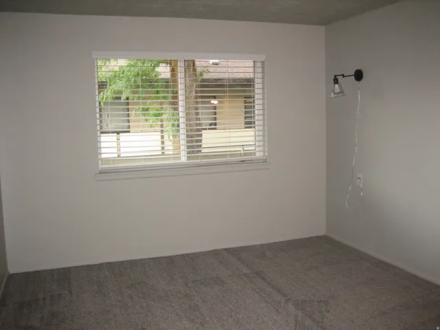 Window with white blinds, light gray wall paint, and gray carpet flooring