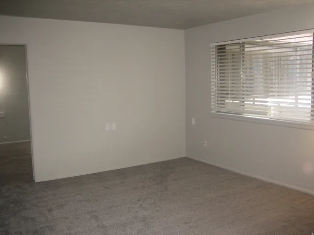 Carpeted interior space with neutral wall paint