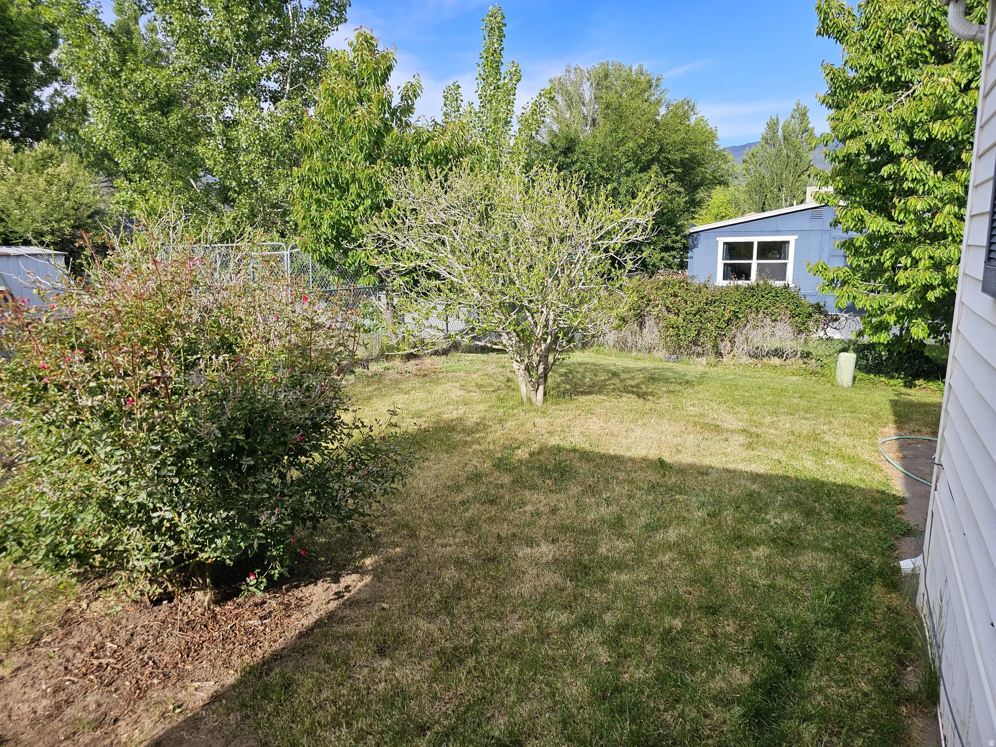 Expansive lawn area featuring mature trees and established shrubbery, partially enclosed by chain link fencing