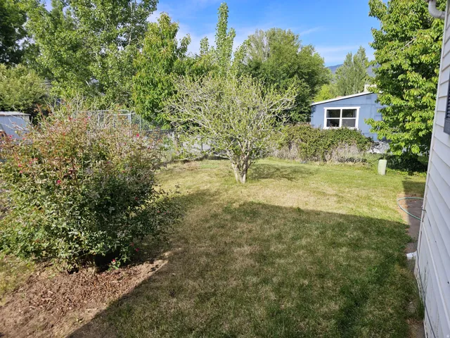 Expansive lawn area featuring mature trees and established shrubbery, partially enclosed by chain link fencing