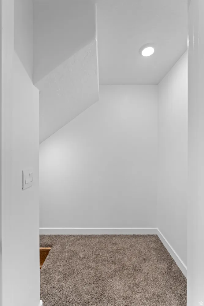 Under-stair storage area featuring neutral-toned carpeting, white baseboards, and a recessed ceiling light
