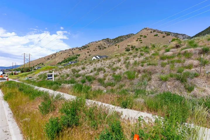 Expansive hillside property featuring natural vegetation and a clear blue sky