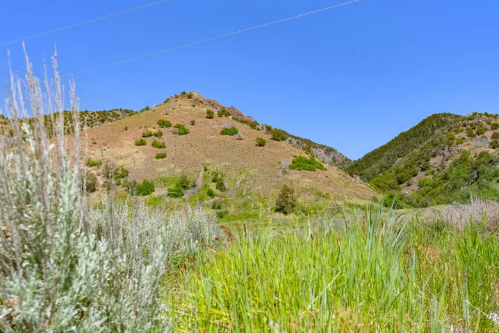 Natural landscape featuring rolling hills and abundant vegetation under a clear sky