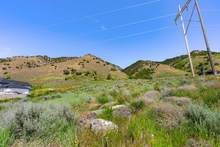 Sloping hillside lot featuring varied natural vegetation, distant mountains, and a clear blue sky