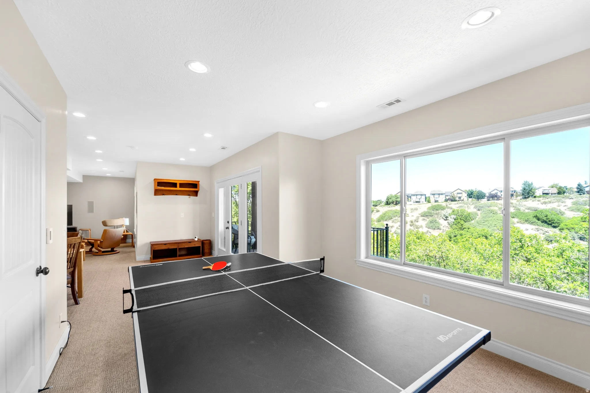 Lower-level recreational space featuring abundant natural light, recessed ceiling lighting, a large sliding glass door, an expansive multi-pane window, and carpeted flooring