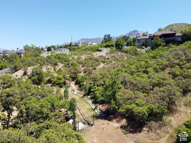 Sloping hillside terrain with varied foliage and a winding path, featuring distant mountain backdrops and scattered residential structures