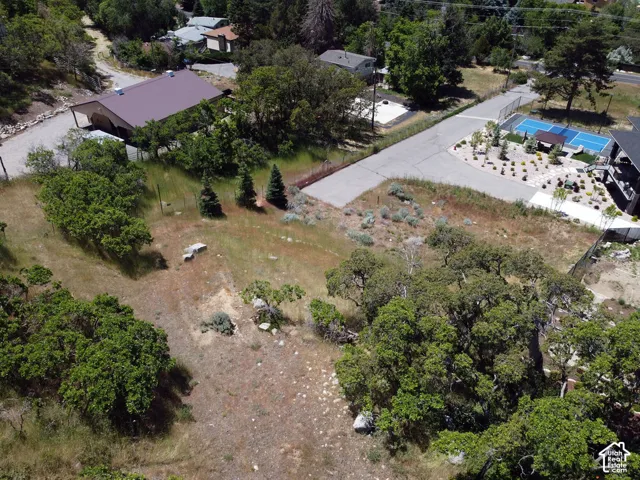 Expansive lot featuring a mix of mature trees and open terrain