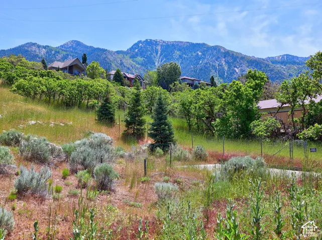 Mountain backdrop with established residential properties and varied natural landscaping